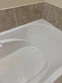 Spider and hair left in tub