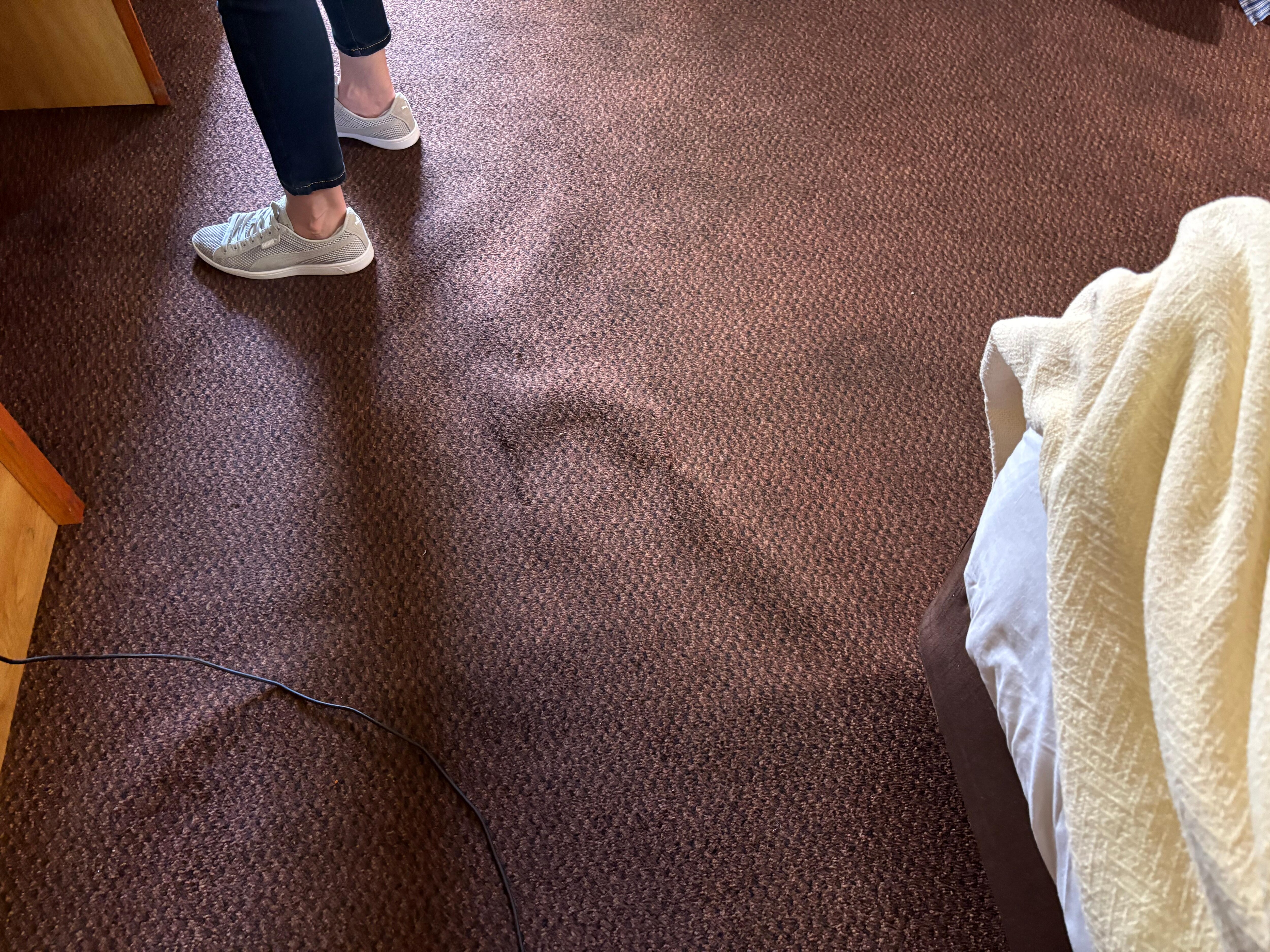Carpet filthy and in need of replacement 