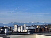 More of the Olympics.