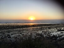 太陽が少し昇る