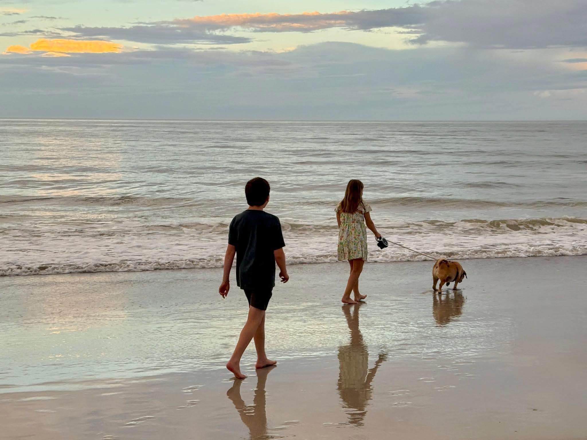 Dog-friendly is a huge plus!