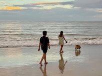 Dog-friendly is a huge plus!