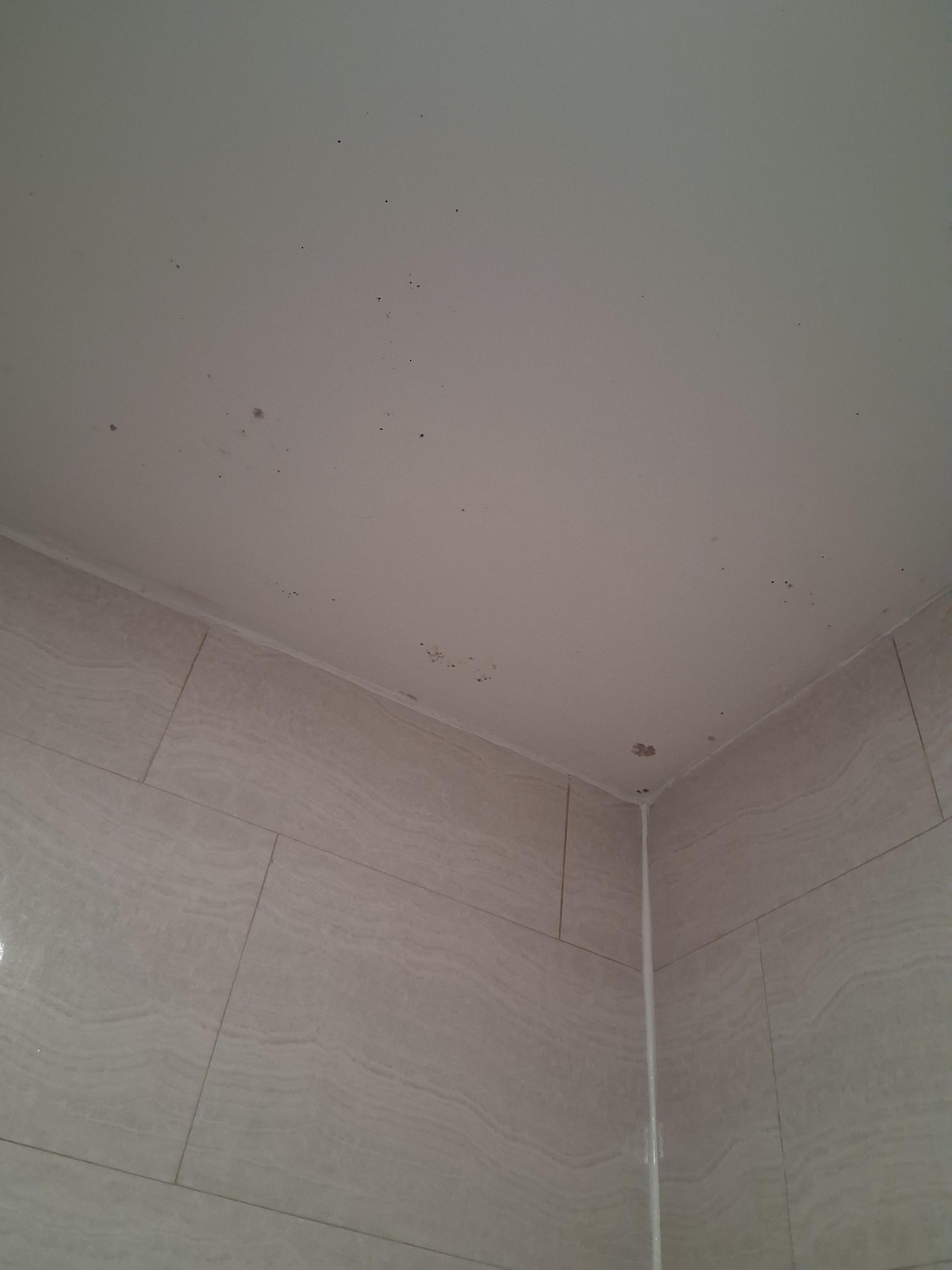 Black mold on the ceiling in the bathroom.