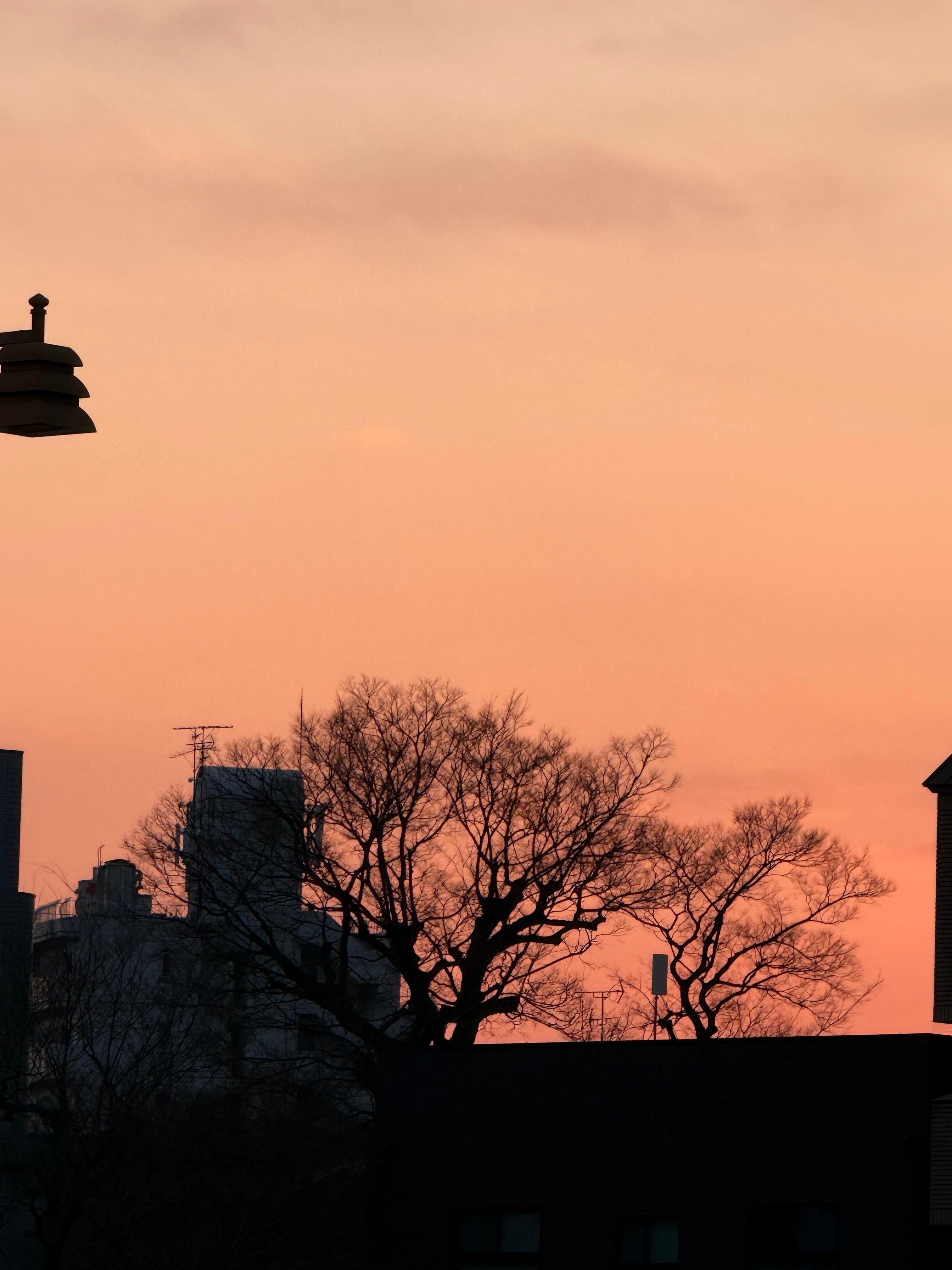 Take this shooting at crossroad nearby hotel 