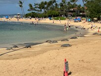 Poipu beach.