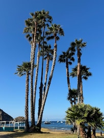 Great experience, if you like wild nature. There are coyotes, a bison, dears, and beautiful birds