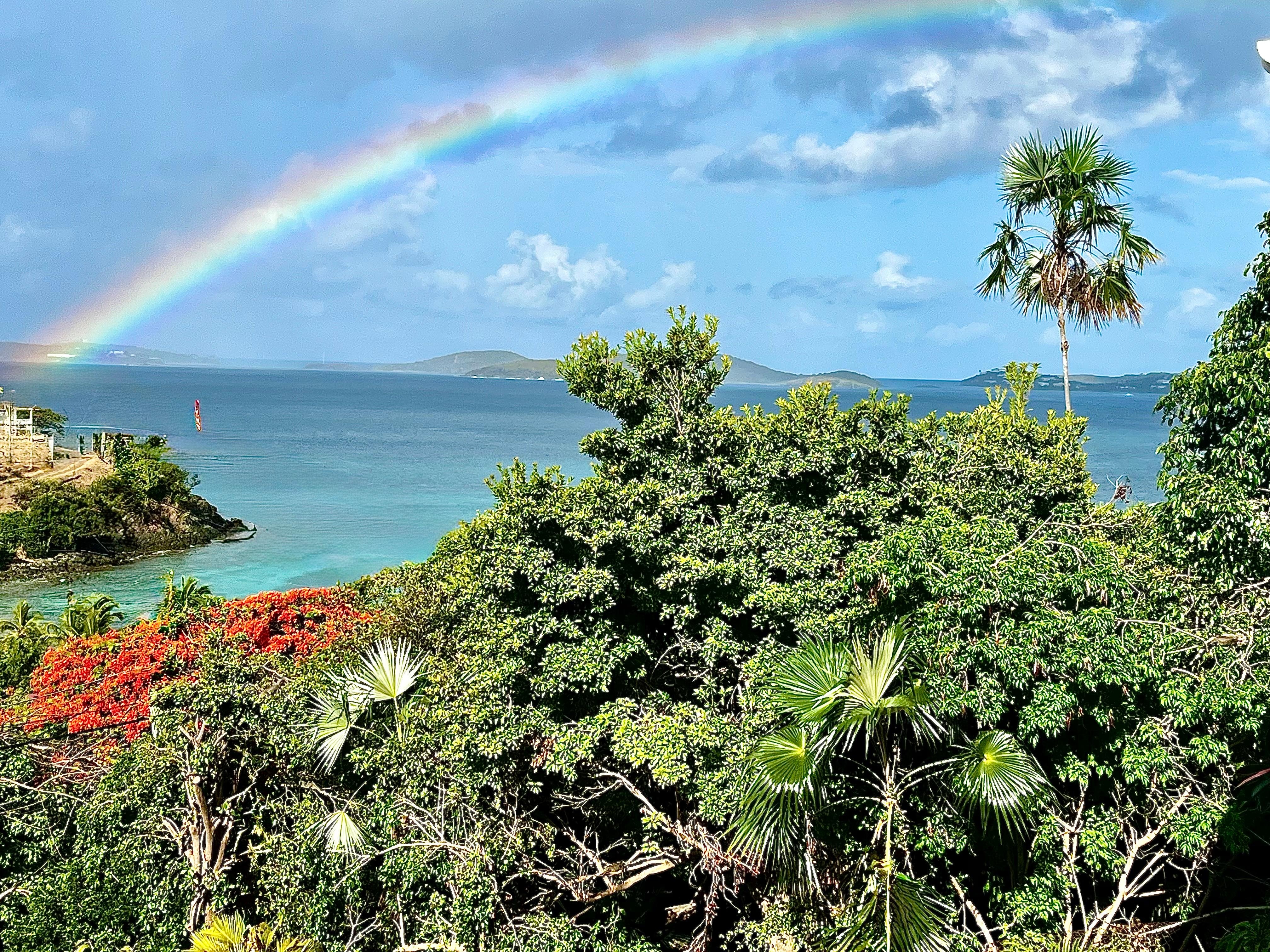 View from back patio
