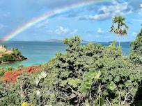 View from back patio