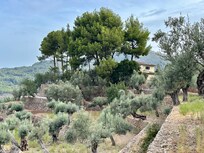 The road up to the villa