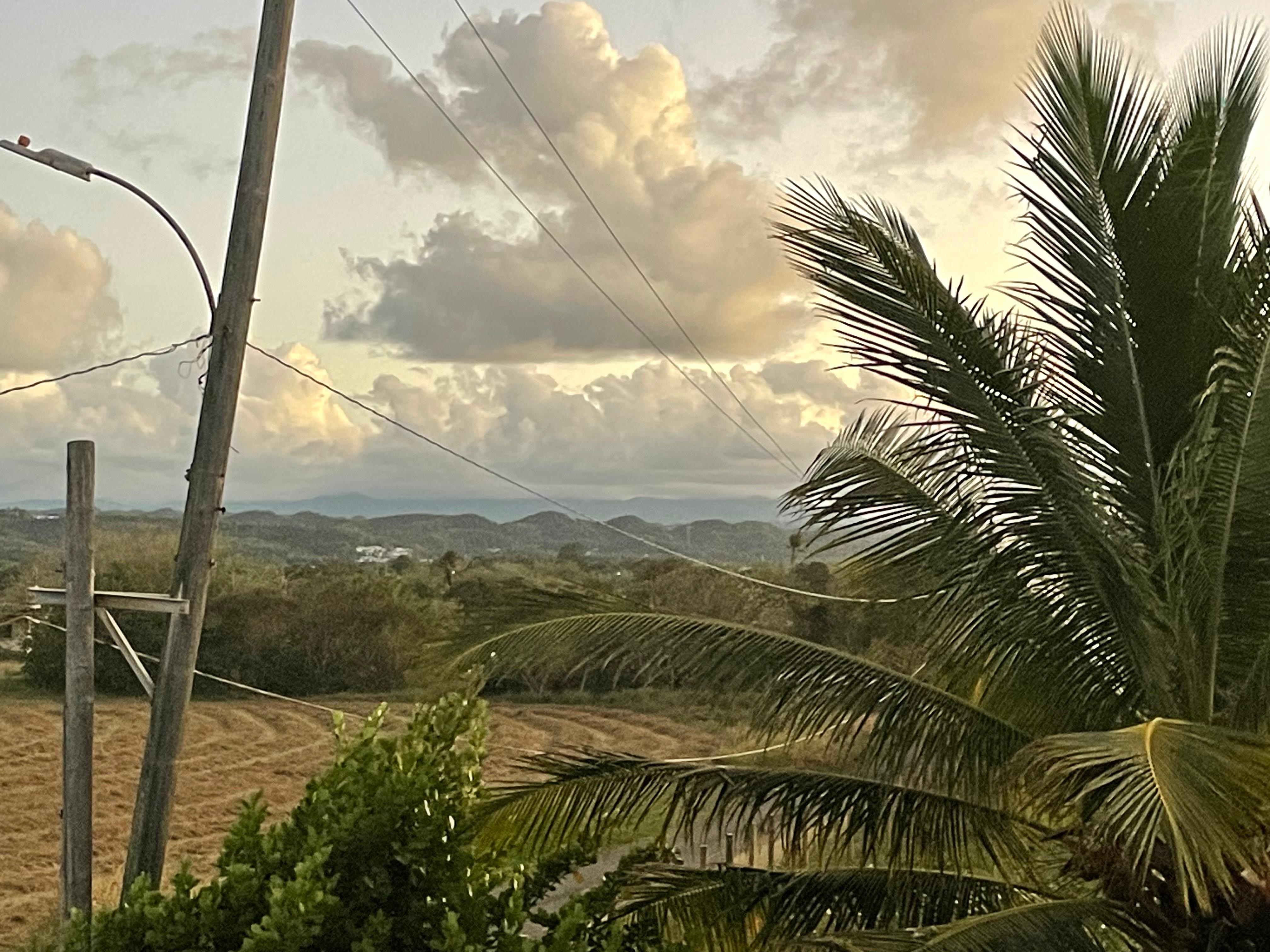 Other views from the patio 