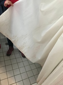Moulded shower curtain