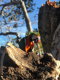 Florentina our best friend