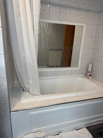 Impossible to shower without flooding the bathroom