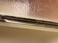 Black mold on shower door