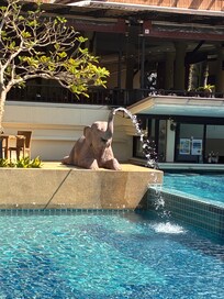 Pool area