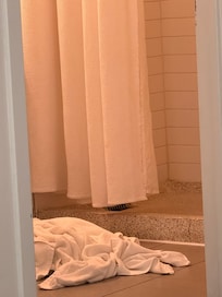 Towels in bathroom at check in