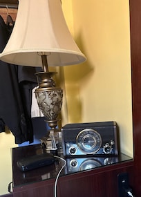 Cute old fashion radio.