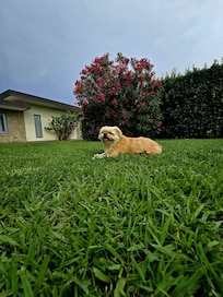 Den richtigen Garten genießen