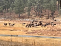 View from the front porch