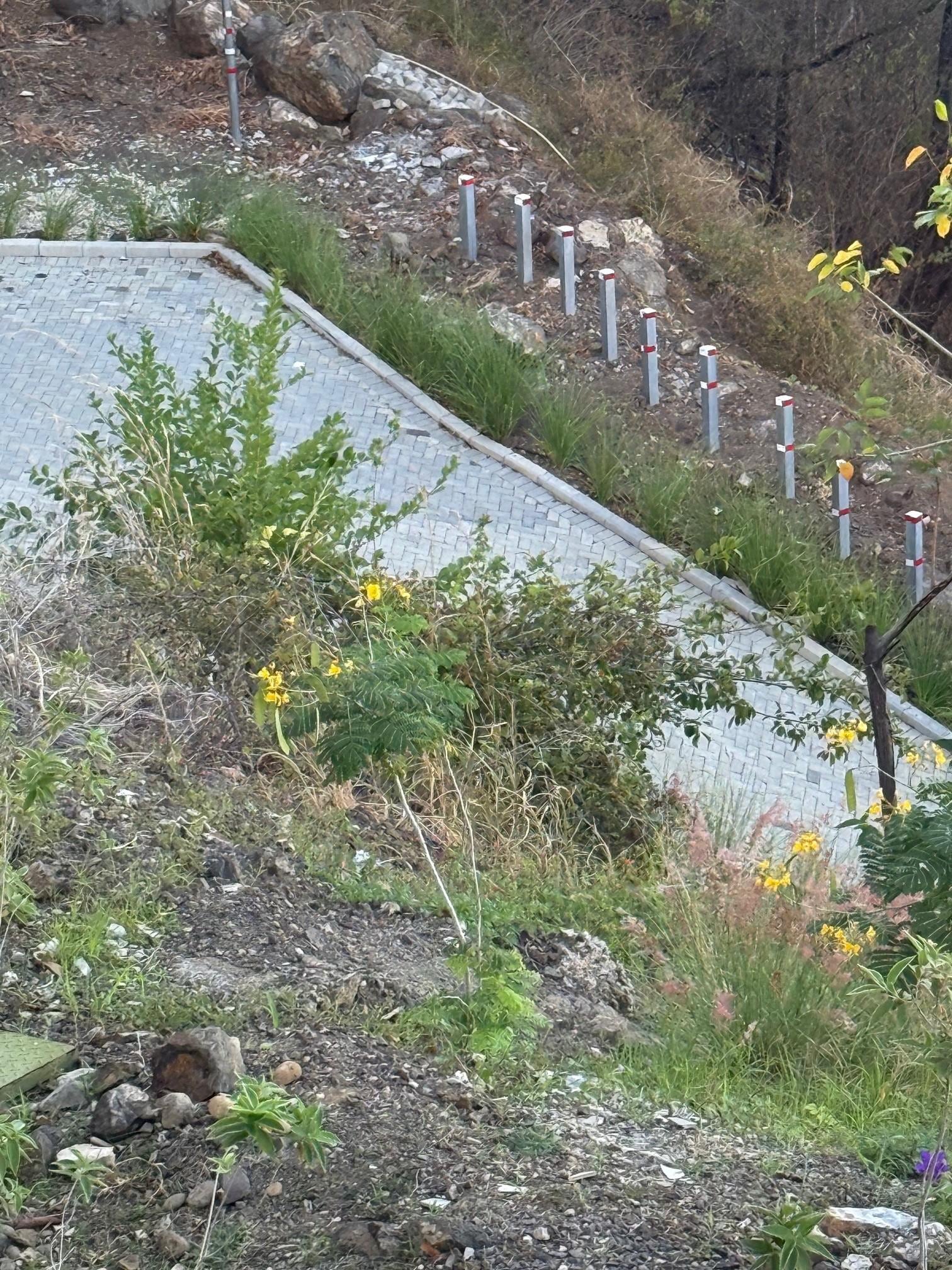 the view from inside the house