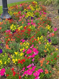 Gorgeous flowers on the corner at the end of the street where this villa is located.
