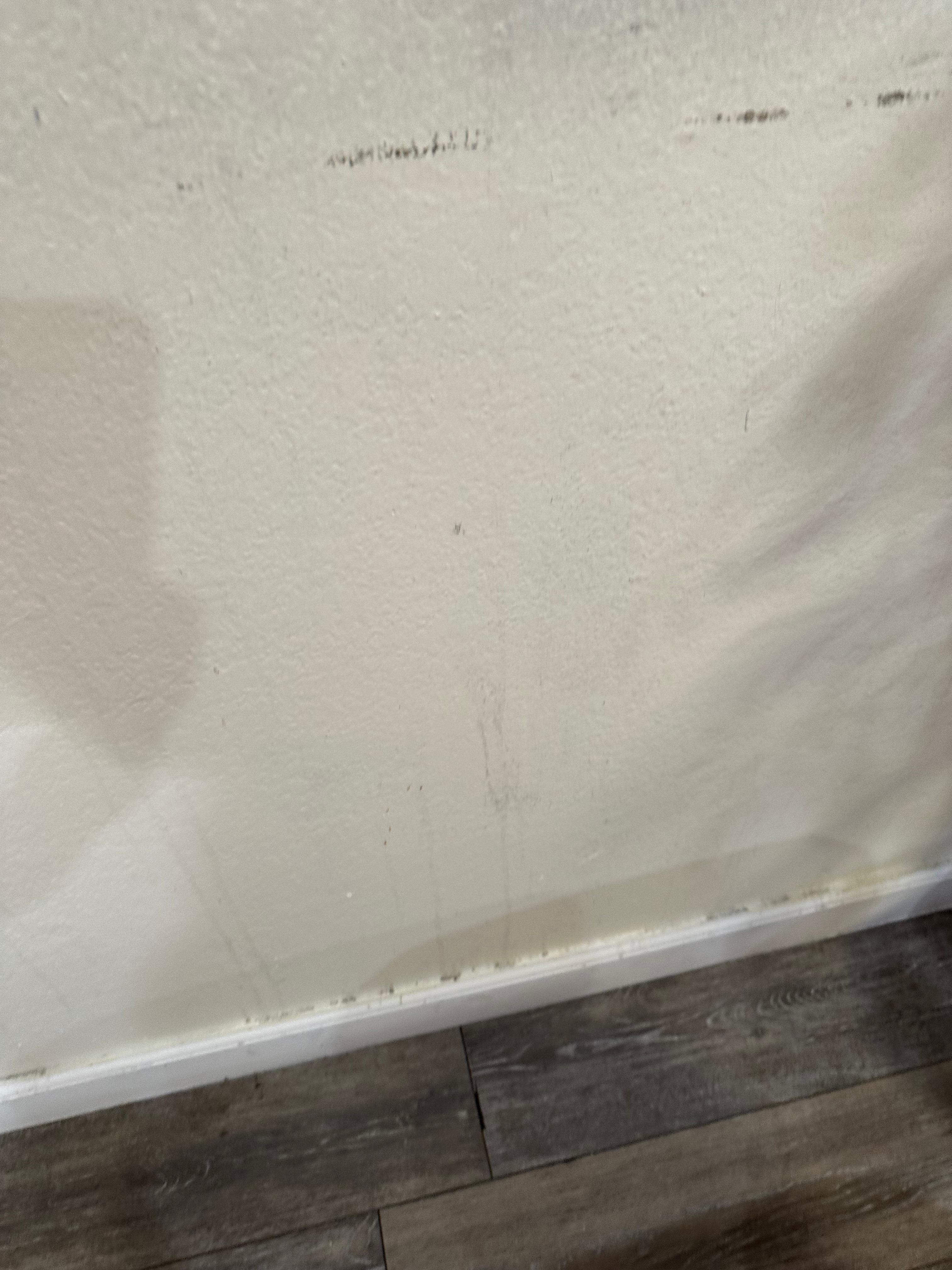 Dirty kitchen walls by trash can