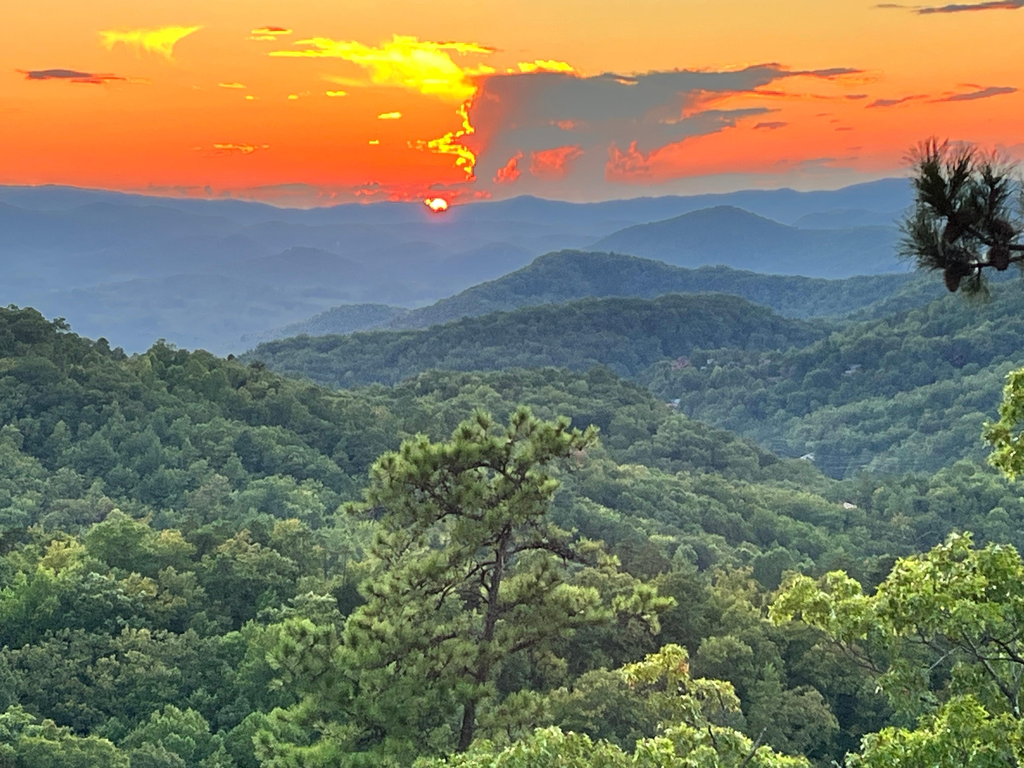 Looking out the back deck