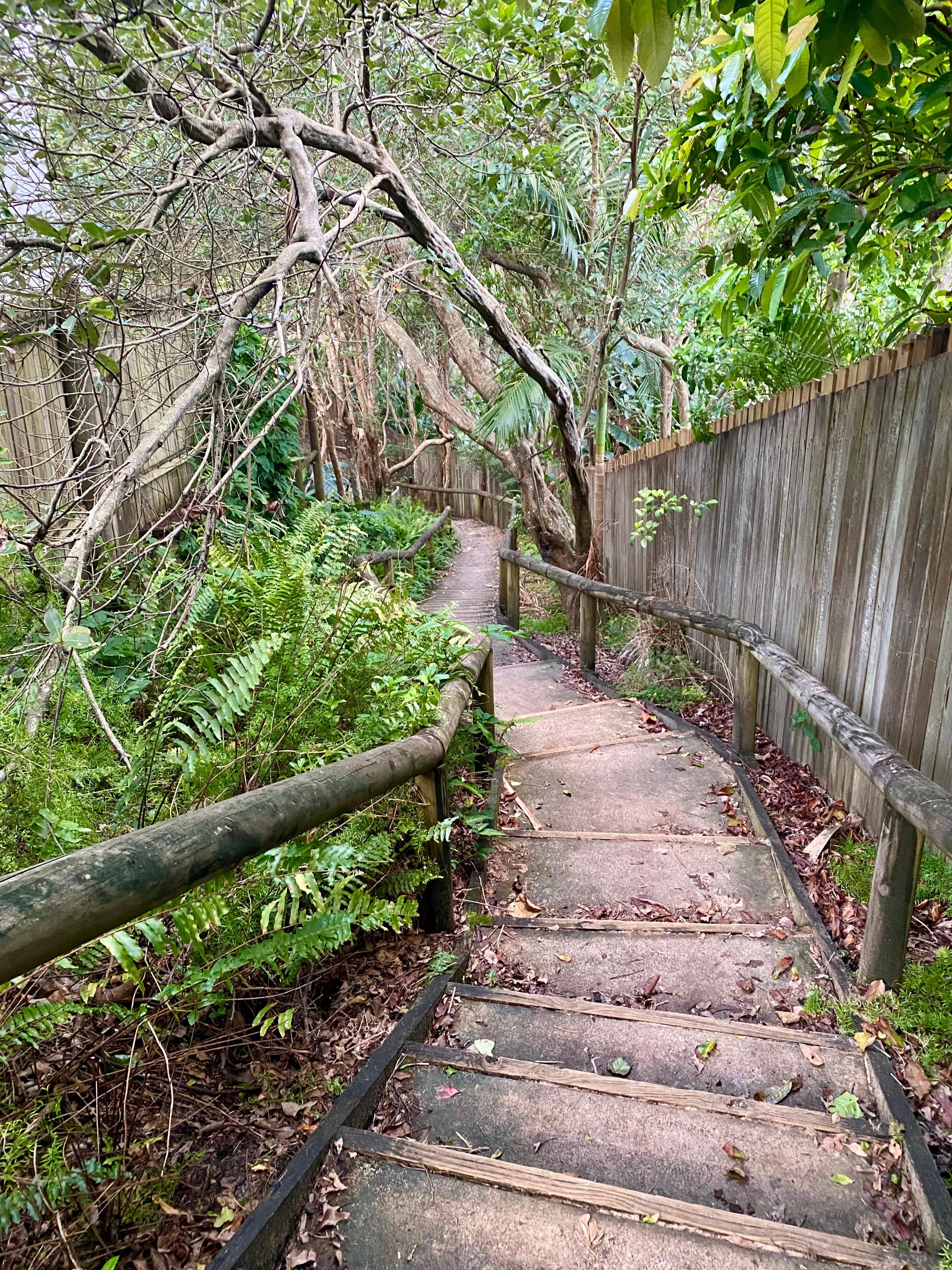 Path to the beach 
