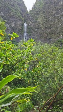 Hanakapai Falls worth it!!