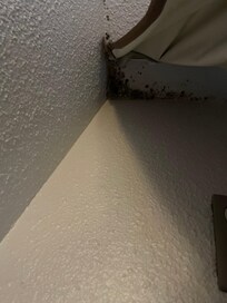 Here is the black mold behind the curtain on the ceiling. Curtain magically didn’t want to move when i tried taking a photo.
