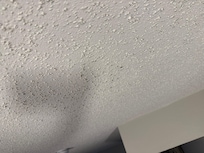 Ceiling above the ned