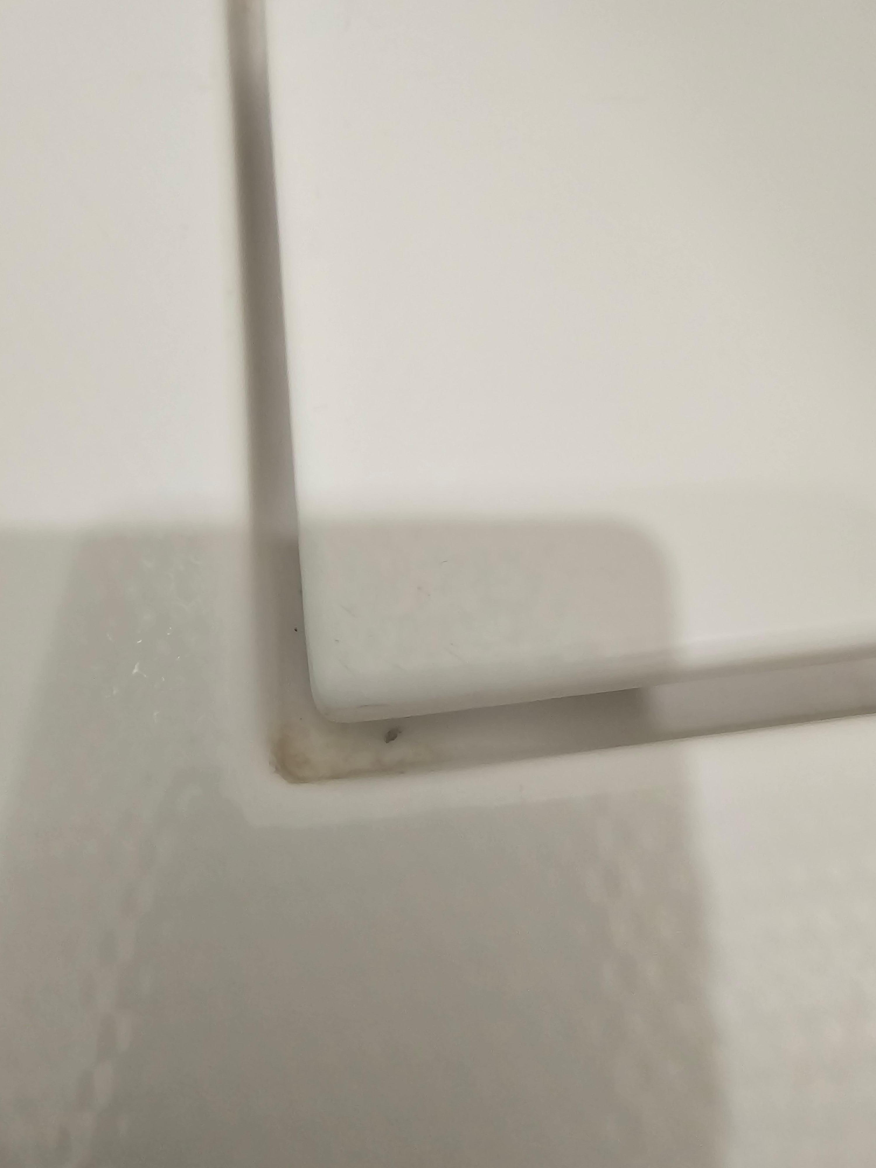 The first room I was in the shower was filthy 