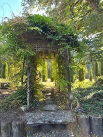 Front yard view