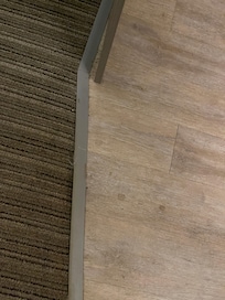 Sticky stains and loose dirt along vinyl piece between carpet and tome