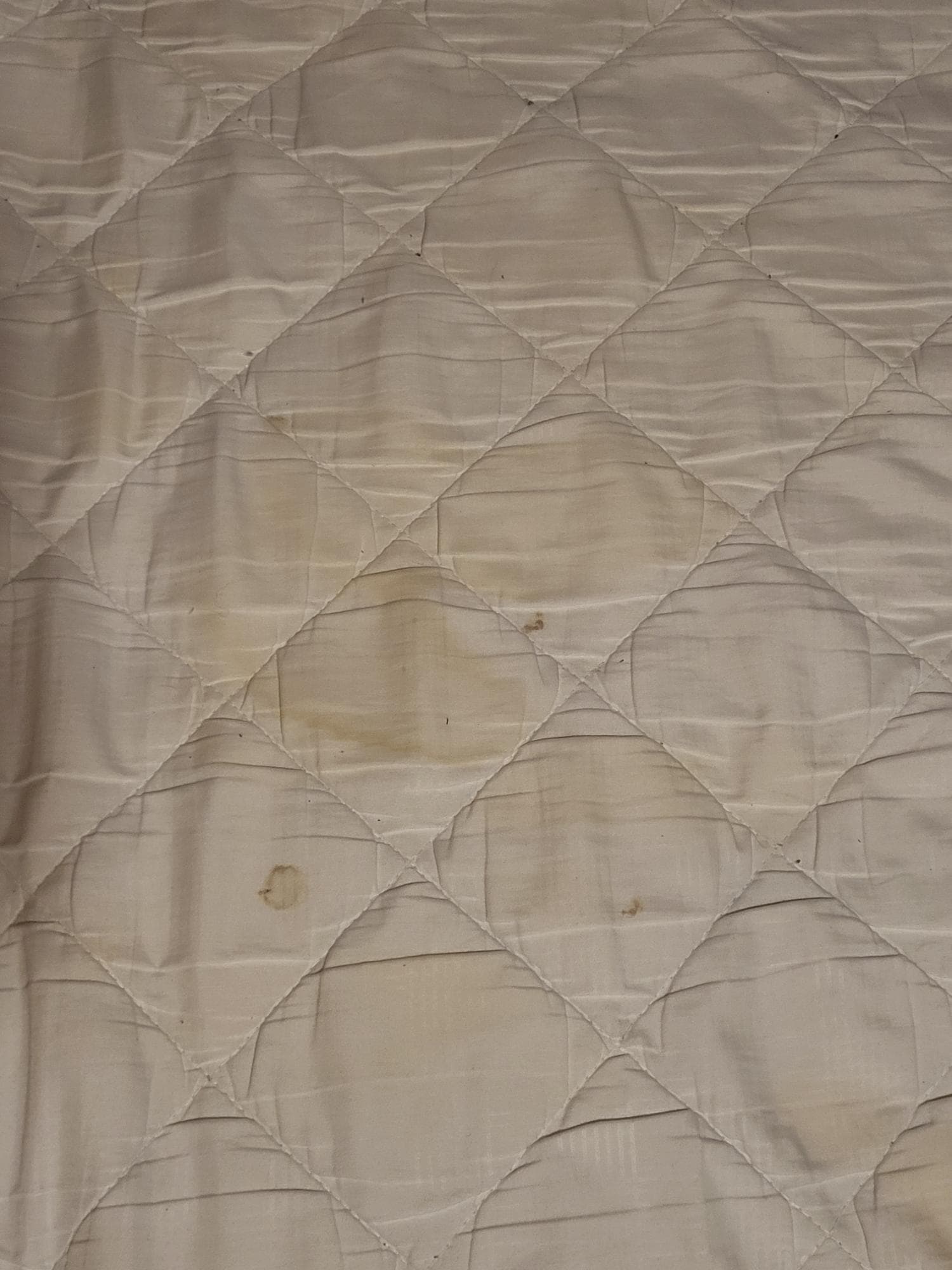 mystery/ potential urine stain on mattress pad