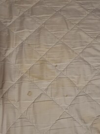 mystery/ potential urine stain on mattress pad