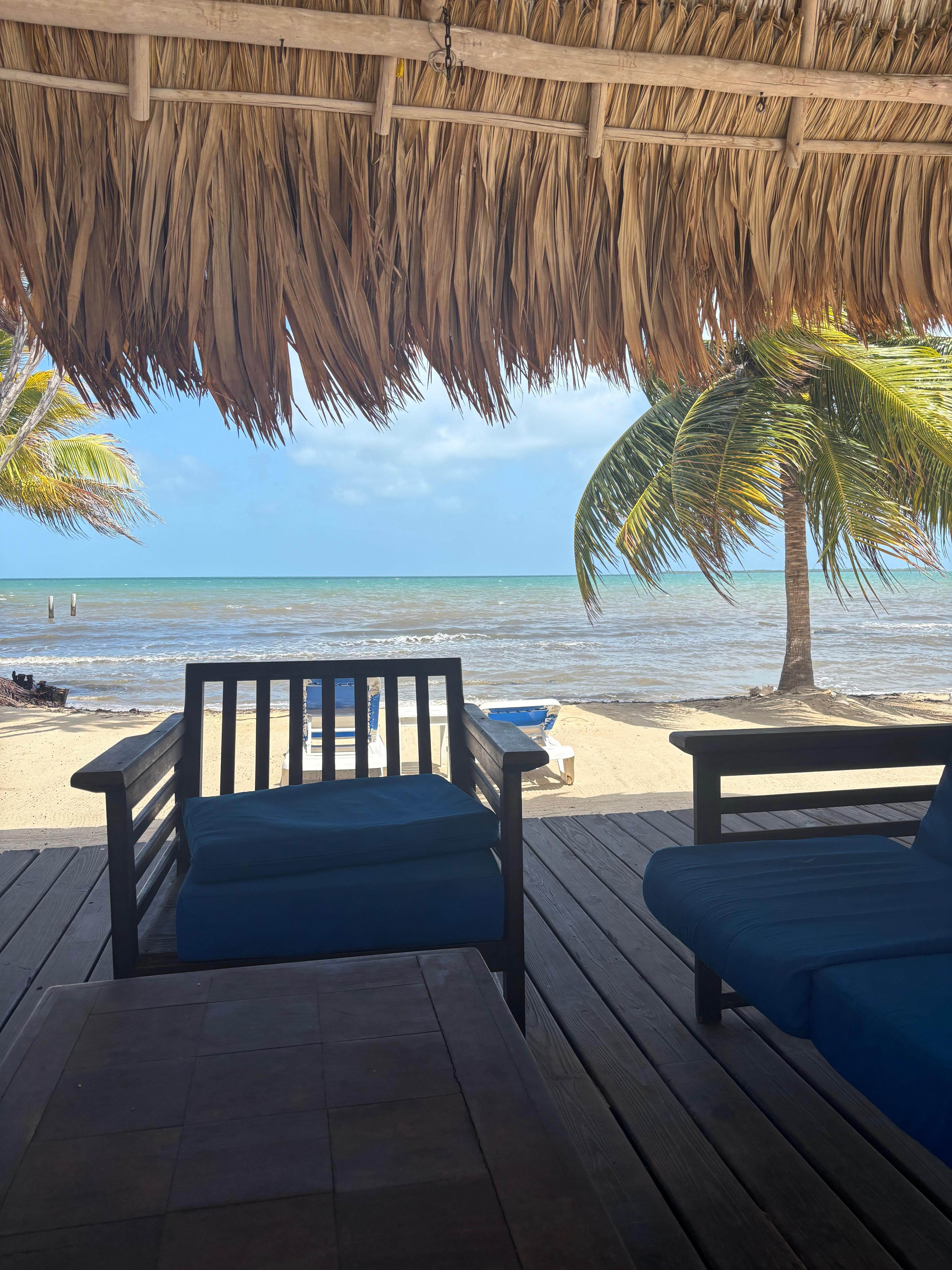 A
Daily view