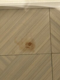 Weird stain by toilet in downstairs bathroom 🤮
