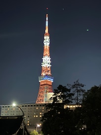 芝公園的東京鐵塔