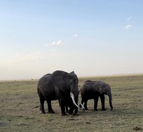 Amboseli