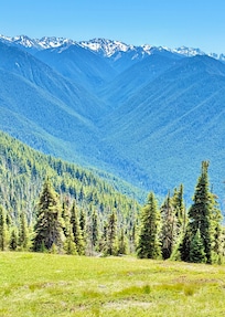 Hurricane Ridge