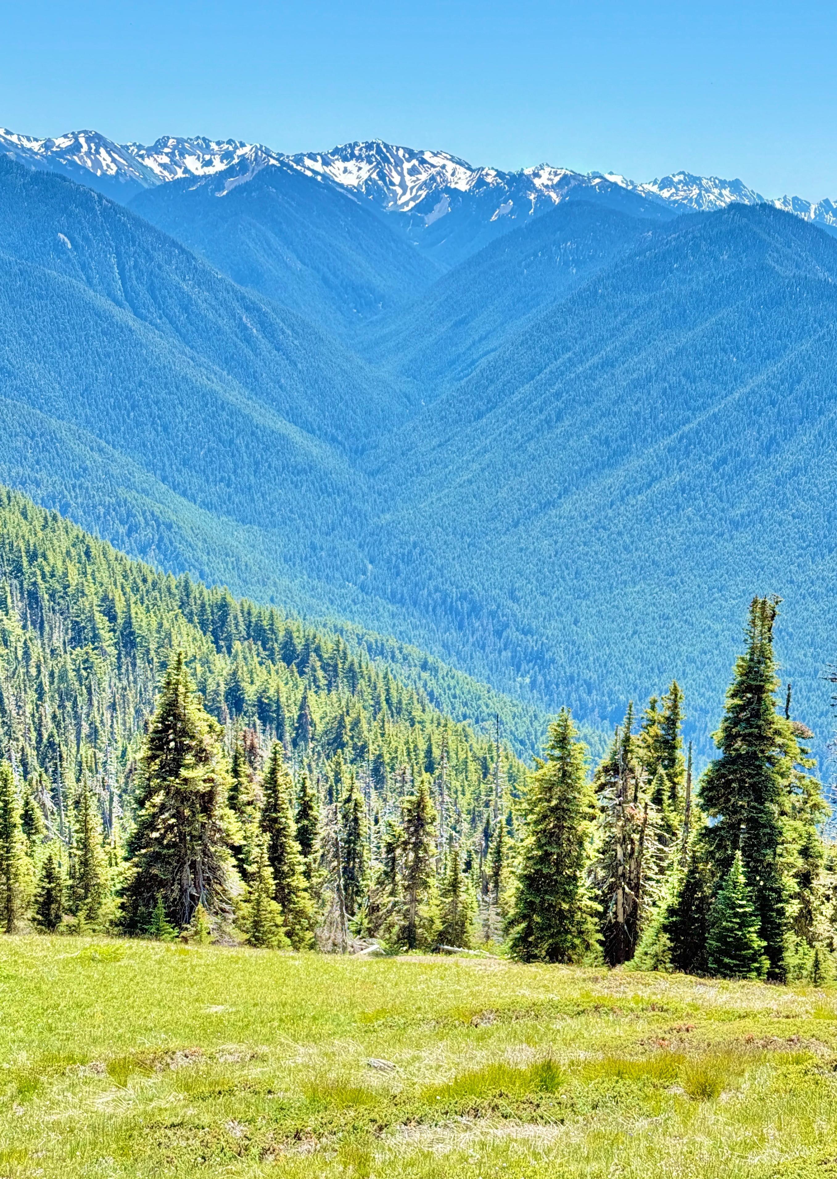 Hurricane Ridge