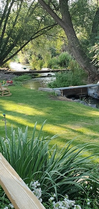 Adorable back yard.  Room has patio, but was too hot out that day to enjoy.