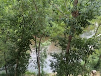 View from my room