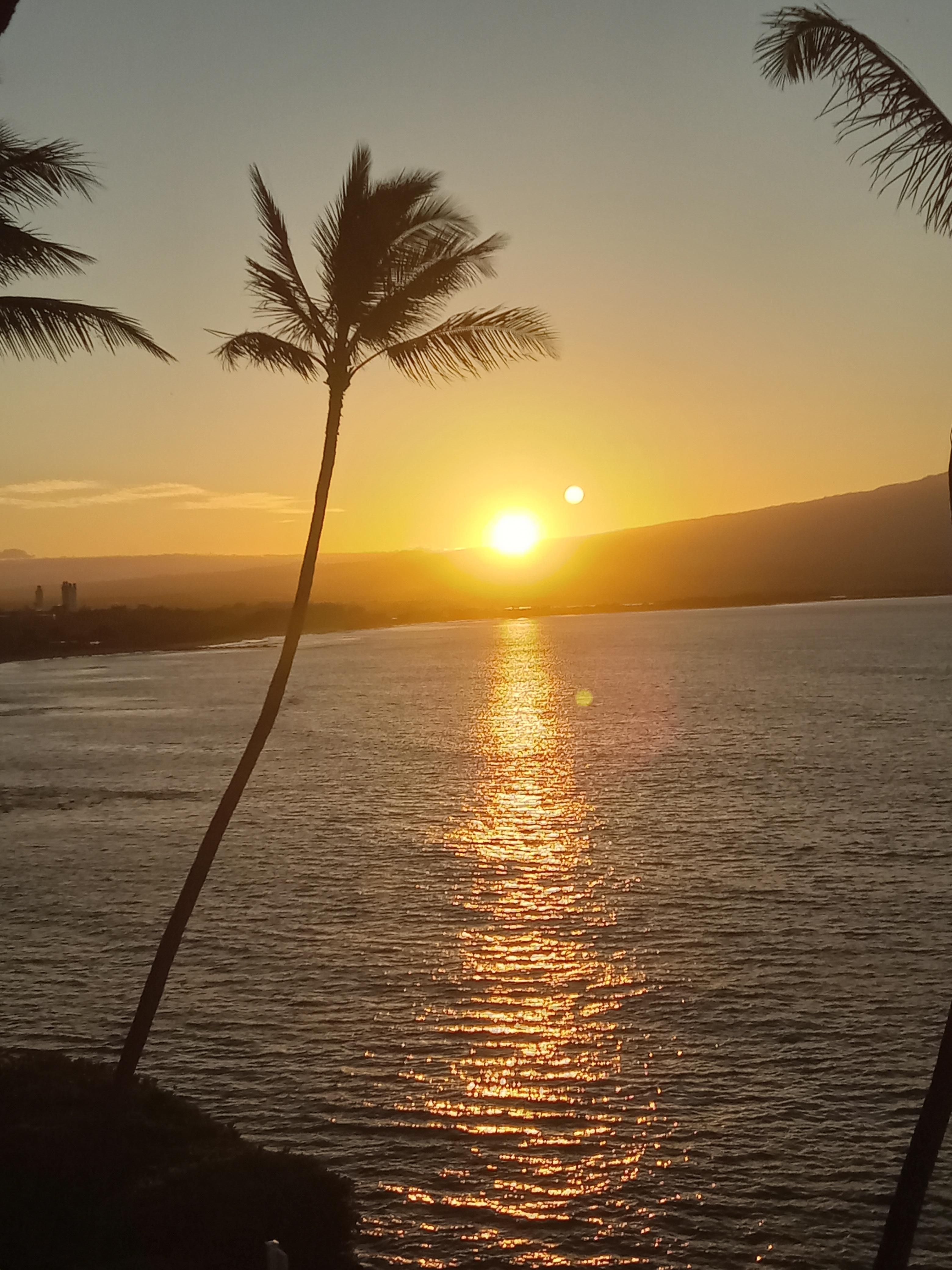 Early morning sunrise from the lanai. 