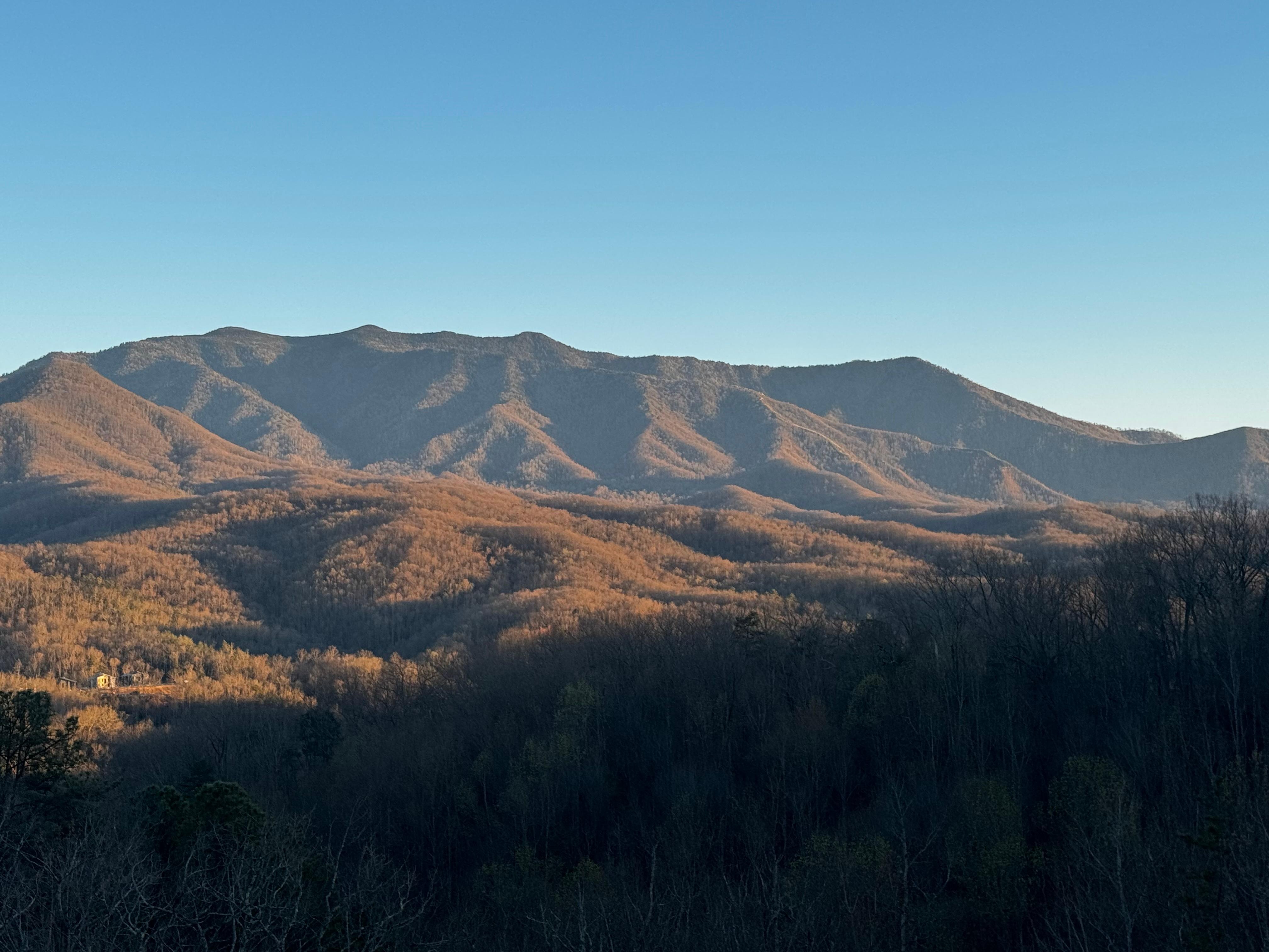 View from the deck in the evening. 