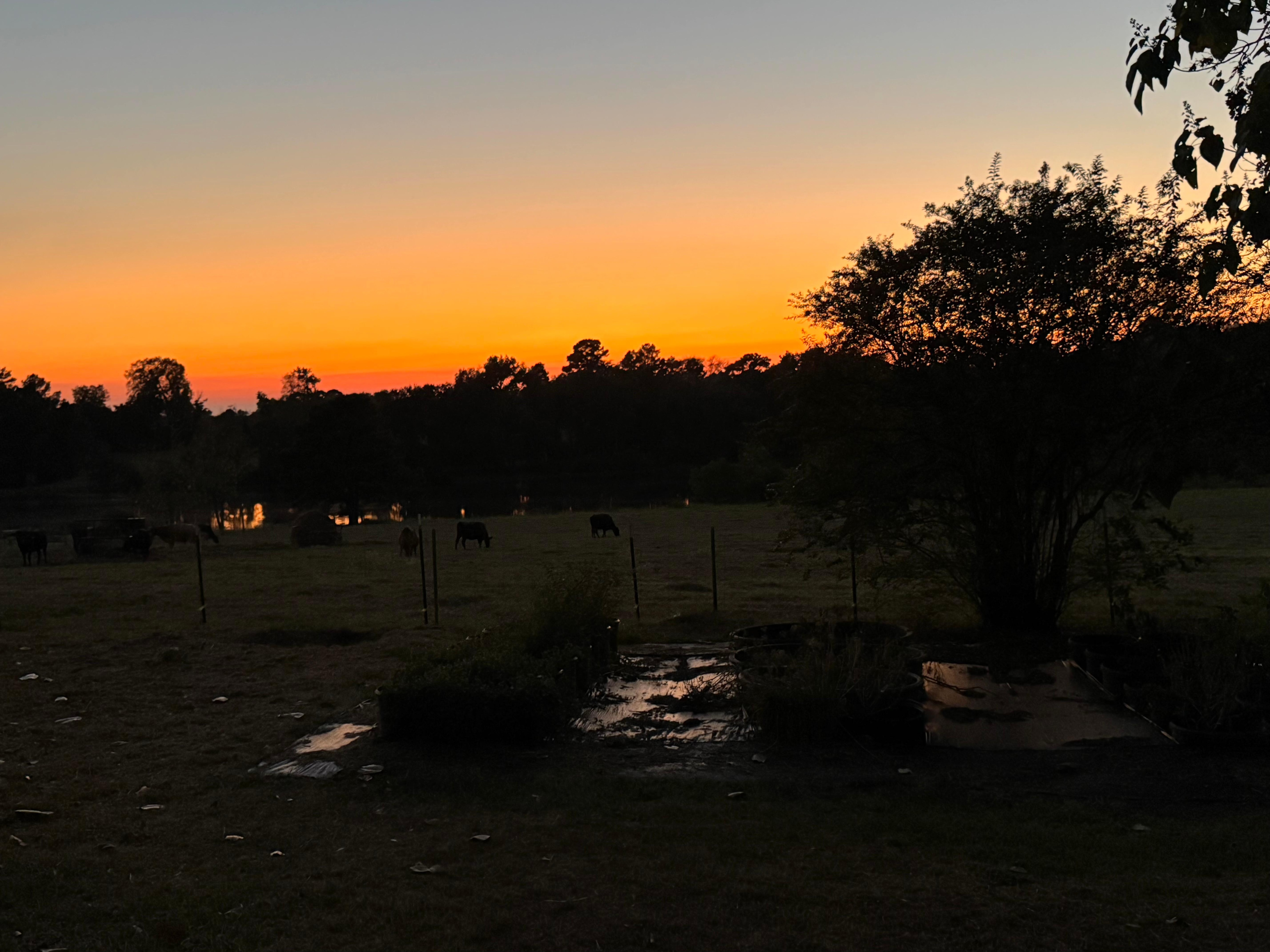 sunset over the lake with a lake reflection