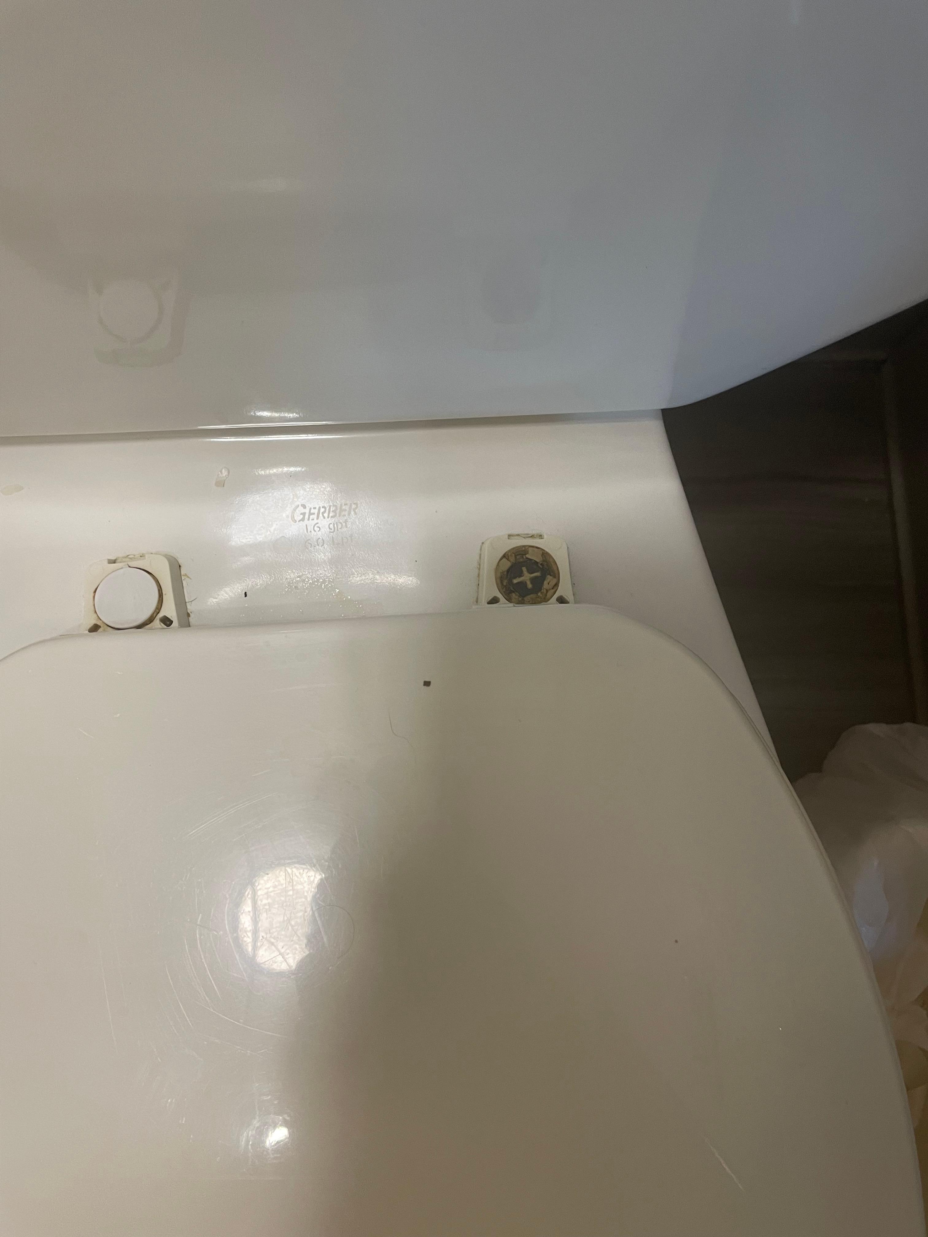 Parts missing on a dirty toilet seat