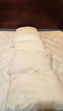 Pillows with unknown black stains greased and urine stains