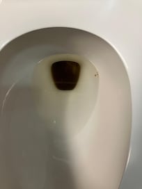 A little surprise upon my arrival.